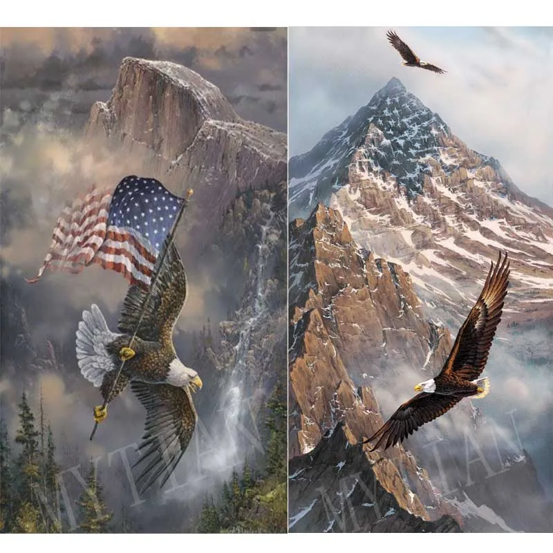 Eagle & flag home decor Embroidery pattern resin full square/round diamond 5d diy painting landscape cross stitch mosaic sticker
Eagle & flag home decor Embroidery pattern resin full square/round diamond 5d diy painting landscape cross stitch mosaic sticker