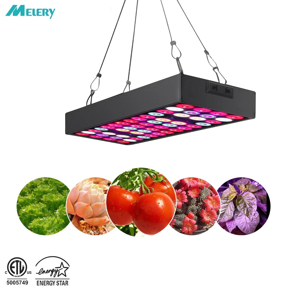 LED Grow Light Panel Full Spectrum UV IR 100W Plant Growing Lamps Aluminum Indoor Plants Hydroponic Greenhouse Veg and Flower
LED Grow Light Panel Full Spectrum UV IR 100W Plant Growing Lamps Aluminum Indoor Plants Hydroponic Greenhouse Veg and Flower