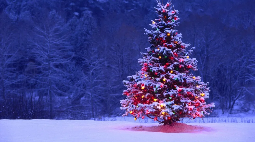 1 Piece Living Room Bedroom Modern Home Decoration Christmas Aesthetic moving LED Tree Picture Painting Print On Canvas\J0349
1 Piece Living Room Bedroom Modern Home Decoration Christmas Aesthetic moving LED Tree Picture Painting Print On Canvas\J0349