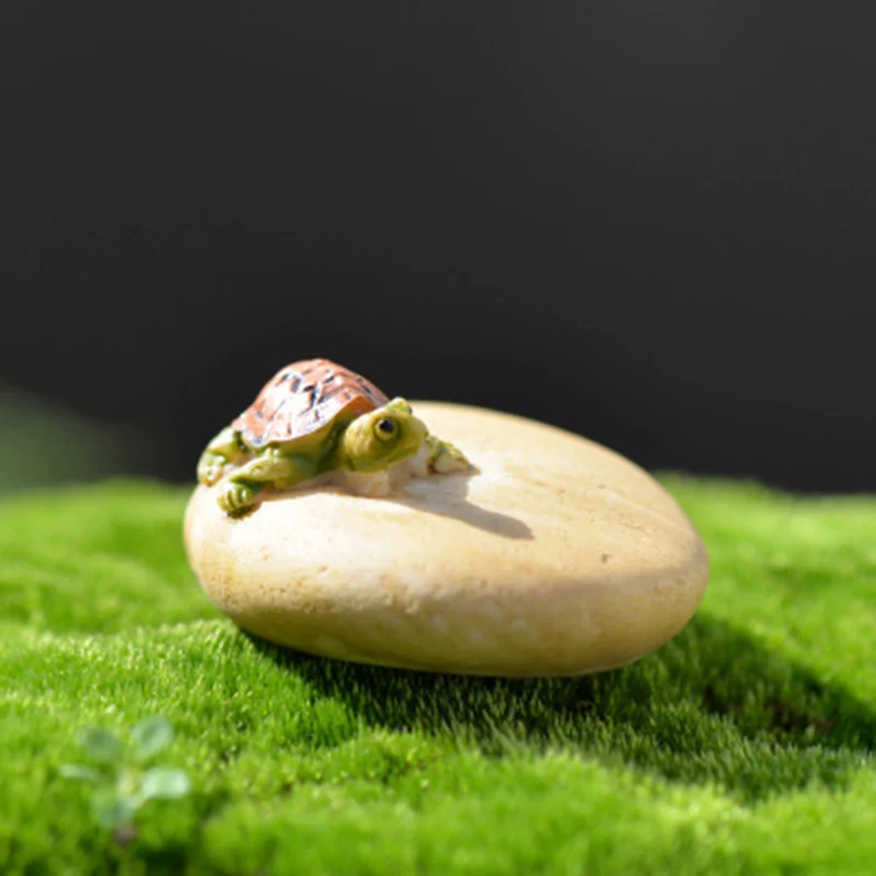 ZOCDOU 1 Piece Stone Rock Sea Turtle Tortoise Turtle Small Statue Decoration Accessories Miniature Children Crafts Figurines
ZOCDOU 1 Piece Stone Rock Sea Turtle Tortoise Turtle Small Statue Decoration Accessories Miniature Children Crafts Figurines