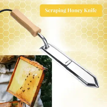 Bee tools Wholesale Multifunctional starting scraper Bee Knife Beekeeping Wooden Stainless steel Cut honey knife
Bee tools Wholesale Multifunctional starting scraper Bee Knife Beekeeping Wooden Stainless steel Cut honey knife