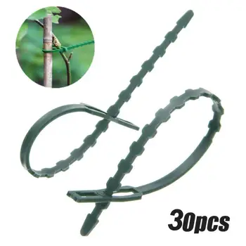 30Pcs 17cm Adjustable Reusable Plastic Climbing Support Garden Plant Cable Ties Easy to adjust or remove Garden Tool
30Pcs 17cm Adjustable Reusable Plastic Climbing Support Garden Plant Cable Ties Easy to adjust or remove Garden Tool