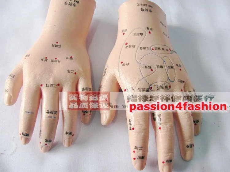 2PCS Massage Acupuncture Hand Model Reflexology Meridian Acupoint Medical Reflex Meridian Ultra-clear Mode
2PCS Massage Acupuncture Hand Model Reflexology Meridian Acupoint Medical Reflex Meridian Ultra-clear Mode