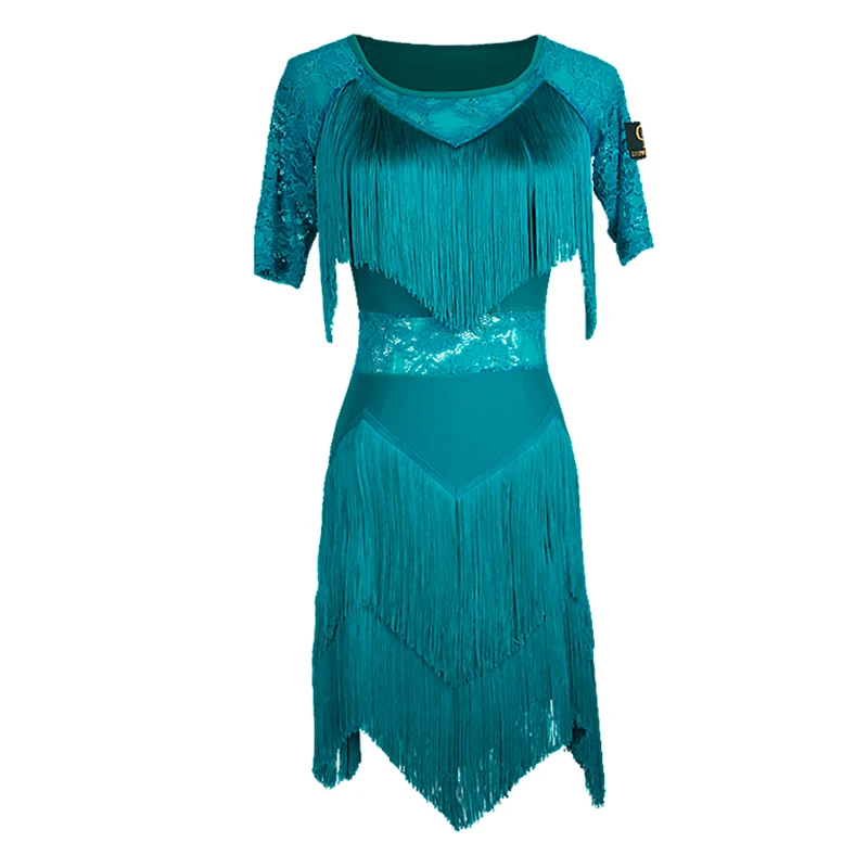 Latin Dance Dress Competition Performance Wear Ladies Fringe Dresses Salsa Samba Rumba Practice Dancing Clothes Women DN2467
Latin Dance Dress Competition Performance Wear Ladies Fringe Dresses Salsa Samba Rumba Practice Dancing Clothes Women DN2467