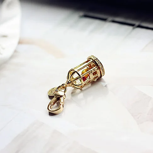 Cute Small Goldtone Birdcage Charm Women Handbag Zipper Chains For Girl Necklace Pendant Jewelry
Cute Small Goldtone Birdcage Charm Women Handbag Zipper Chains For Girl Necklace Pendant Jewelry
