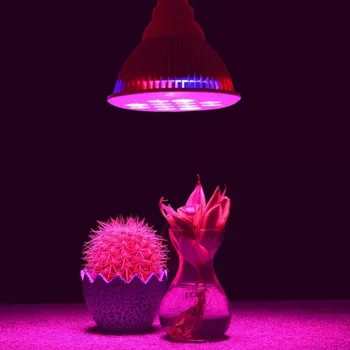 Full Spectrum Grow Light Switch LED Plant Growth Light for Plant Flower Vegetable Indoor Greenhouse Hydroponics Light
Full Spectrum Grow Light Switch LED Plant Growth Light for Plant Flower Vegetable Indoor Greenhouse Hydroponics Light