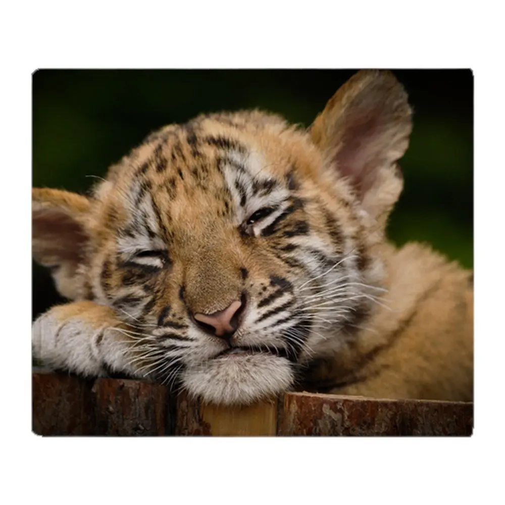 Personalized Siberian Tiger Cub Soft Fleece Throw Blanket Cover Throw Over Sofa Bed Blanket Home Textile
Personalized Siberian Tiger Cub Soft Fleece Throw Blanket Cover Throw Over Sofa Bed Blanket Home Textile