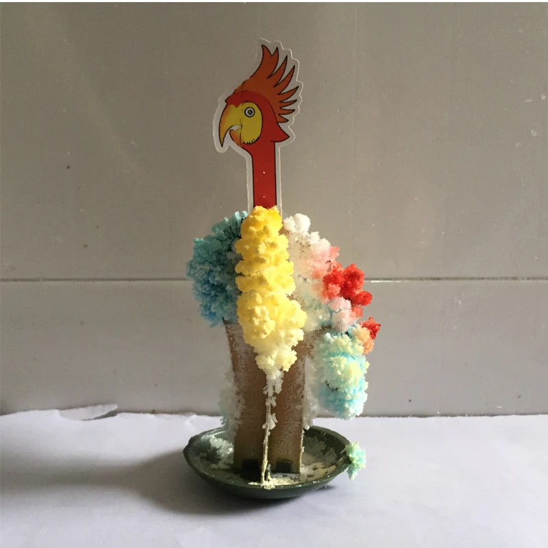 2019 130mm H Multicolor Magic Growing Paper Parrot Tree Magical Grow Christmas Trees Wunderbaum Kids Science Toys For Children
2019 130mm H Multicolor Magic Growing Paper Parrot Tree Magical Grow Christmas Trees Wunderbaum Kids Science Toys For Children