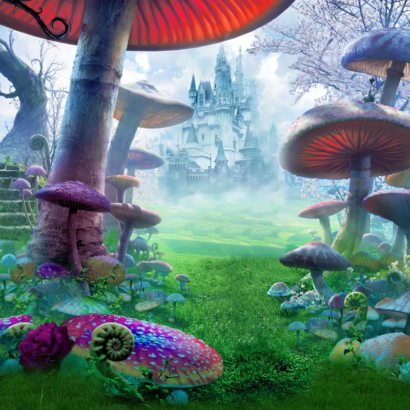 MEHOFOTO Pictures - background for photos Alice Wonderland castle mushrooms children's photographic camera backdrop 
MEHOFOTO Pictures - background for photos Alice Wonderland castle mushrooms children's photographic camera backdrop