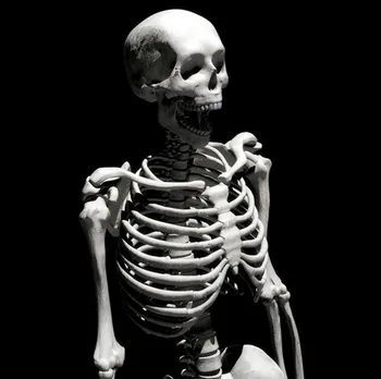 High Imitation Mini Skull Skeletons Scary Halloween Decoration mascaras party festa decoration bachelorette party mask
High Imitation Mini Skull Skeletons Scary Halloween Decoration mascaras party festa decoration bachelorette party mask