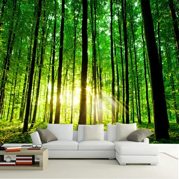 Nature Landscape 3D Wall Mural Custom Photo Wallpaper For Living Room Sunlight Forest TV Background Wall Paper On The Wall 3D
Nature Landscape 3D Wall Mural Custom Photo Wallpaper For Living Room Sunlight Forest TV Background Wall Paper On The Wall 3D