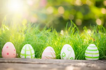 HUAYI Easter Eggs Theme Art fabric Backdrops For Studio Newborn Photography Backgrounds D-4491
HUAYI Easter Eggs Theme Art fabric Backdrops For Studio Newborn Photography Backgrounds D-4491