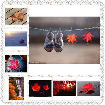 Canada red maple Diy Diamond Embroidery Cross Stitch Full Diamond Mosaic Picture Pasted Diamond Painting Needlework Decor AS928
Canada red maple Diy Diamond Embroidery Cross Stitch Full Diamond Mosaic Picture Pasted Diamond Painting Needlework Decor AS928