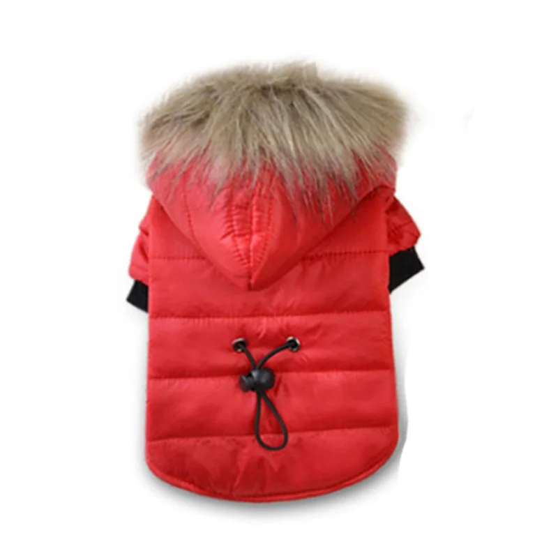 Winter Cat Clothes Pet Small Dog Cat Down Coat with Warm Hood for Cold Weather Windproof New Fashion Kitten Apparel XS S M L XL
Winter Cat Clothes Pet Small Dog Cat Down Coat with Warm Hood for Cold Weather Windproof New Fashion Kitten Apparel XS S M L XL
