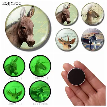 Donkey Fridge Magnet Glass 30MM Luminous Magnetic Sticker Interesting Animals Whiteboard Magnets for Refrigerator for Home Decor
Donkey Fridge Magnet Glass 30MM Luminous Magnetic Sticker Interesting Animals Whiteboard Magnets for Refrigerator for Home Decor
