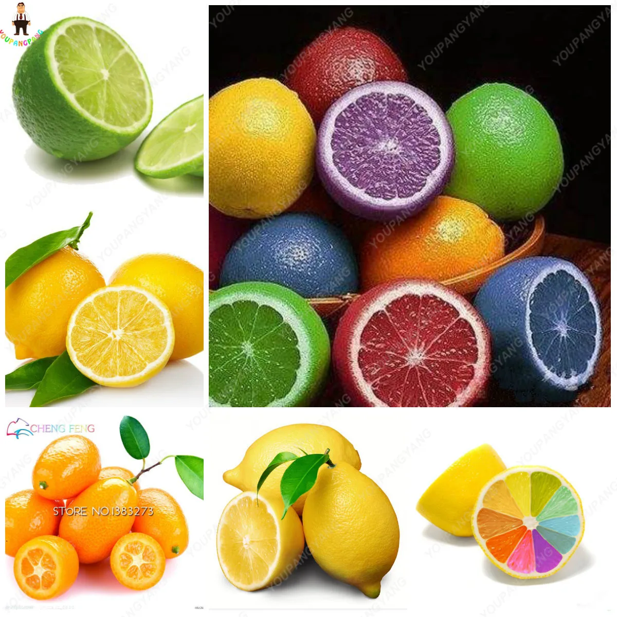 20Pcs Japanese Rainbow Lemon Bonsai Dwarf Lime Tea Fruit plants Garden Organic Citrus Limon Tree Semillas de Fruta
20Pcs Japanese Rainbow Lemon Bonsai Dwarf Lime Tea Fruit plants Garden Organic Citrus Limon Tree Semillas de Fruta