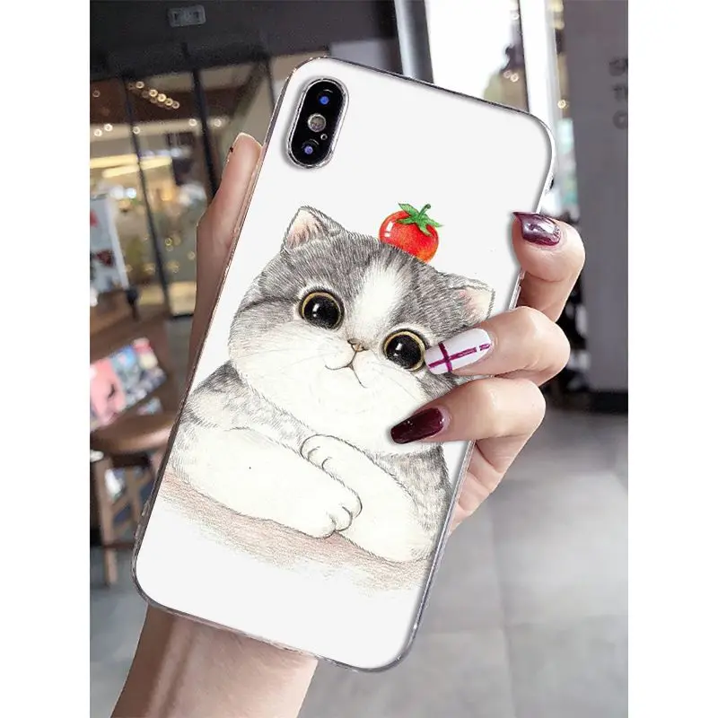Cat Cartoon Cute Mouse Pig Cats Dog