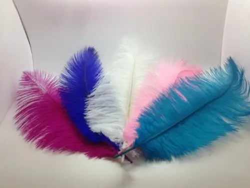 50pcs AQUA custom colors High quality Real Ostrich Feathers Wedding Party Decorations Approx Size 45cm-50cm
50pcs AQUA custom colors High quality Real Ostrich Feathers Wedding Party Decorations Approx Size 45cm-50cm