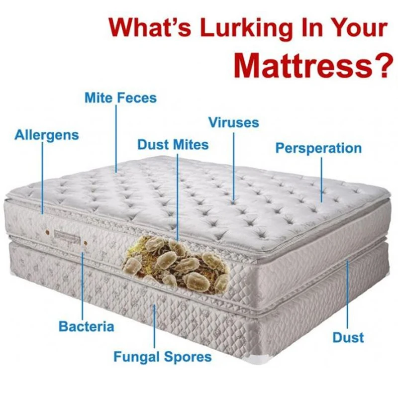 new-ideas-into-dust-mites-mattress-cleaning-never-before-revealed-https-www-wonderful-bed-mites-home-design-ideas-4-648-x-555