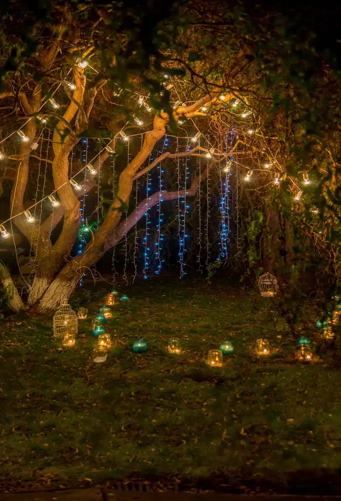 MEHOFOTO Photography Backdrop Night Wedding Couple Vintage Glitter Candle Tree Background Photo Photophone Photocall Shoot Props
MEHOFOTO Photography Backdrop Night Wedding Couple Vintage Glitter Candle Tree Background Photo Photophone Photocall Shoot Props