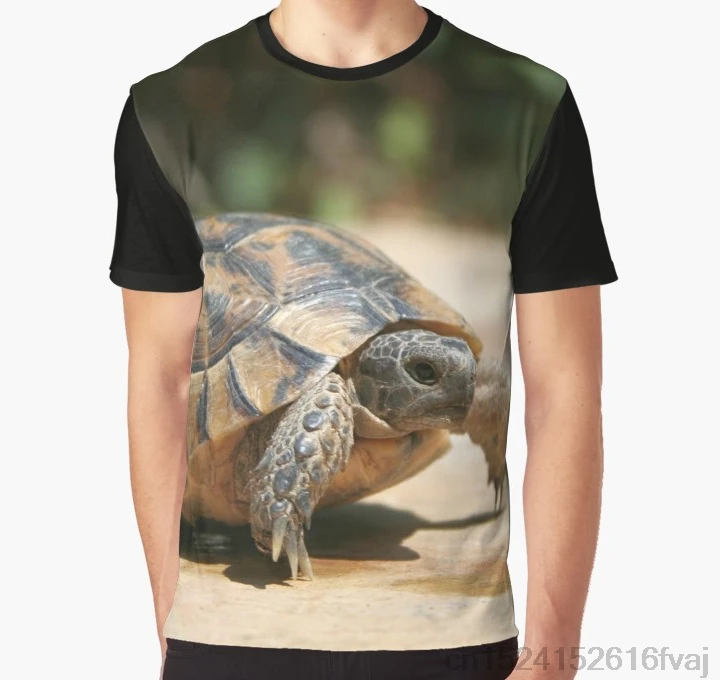 All Over Print Women T Shirt Men Funny tshirt Portrait of a Young Wild Tortoise Graphic T-Shirt
All Over Print Women T Shirt Men Funny tshirt Portrait of a Young Wild Tortoise Graphic T-Shirt