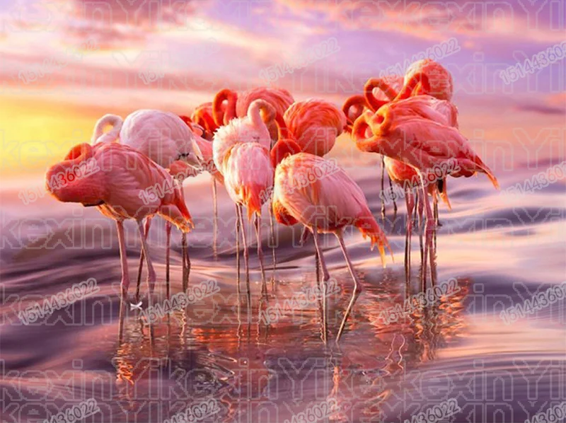 5D DIY Diamond Painting Flamingo Cross Stitch Full circular Diamond Embroidery Sale Landscape Rhinestones Diamond
5D DIY Diamond Painting Flamingo Cross Stitch Full circular Diamond Embroidery Sale Landscape Rhinestones Diamond