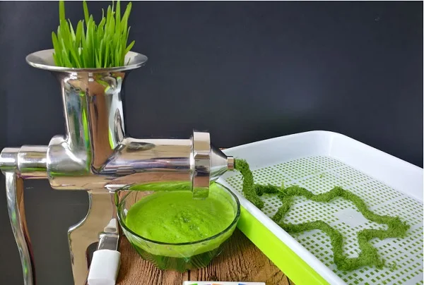 Top quality cold press manual stainless steel WheatGrass Juicer,healthy wheat grass juicer machine,wheat grass juice extractor
Top quality cold press manual stainless steel WheatGrass Juicer,healthy wheat grass juicer machine,wheat grass juice extractor