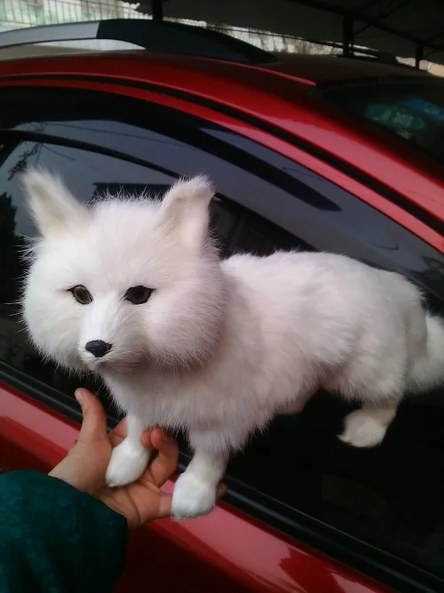 simulation fox large 35x23cm white fox model toy,polyethylene&furs toy, prop,home decoration,Xmas gift 1108
simulation fox large 35x23cm white fox model toy,polyethylene&furs toy, prop,home decoration,Xmas gift 1108