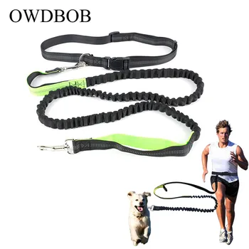 Elastic Waist Dog Leash for Running Jogging Sports Training Retractable Hands Free Dog Leash Lead with Reflective Strip
Elastic Waist Dog Leash for Running Jogging Sports Training Retractable Hands Free Dog Leash Lead with Reflective Strip