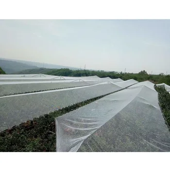 Anti Bird Net Plastic Pond Fruit Tree Vegetable Netting Protection Crops Protect Garden Mesh Pest Control Catch Bird Trap
Anti Bird Net Plastic Pond Fruit Tree Vegetable Netting Protection Crops Protect Garden Mesh Pest Control Catch Bird Trap