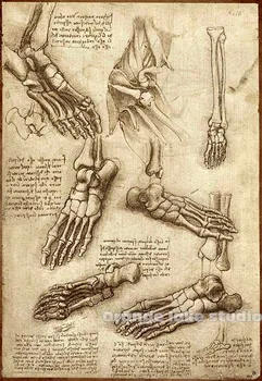Da Vinci manuscript Vintage Dissection Painting Pure cotton Canvas Wall Art Picture Home Decoration Living Room Canvas Print A3
Da Vinci manuscript Vintage Dissection Painting Pure cotton Canvas Wall Art Picture Home Decoration Living Room Canvas Print A3