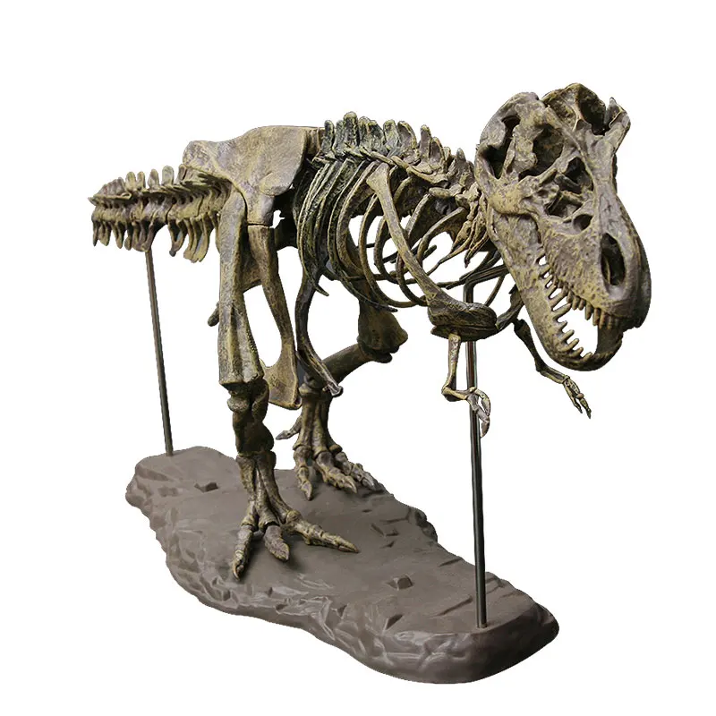 big size Jurassic world Dinosaur fossil skeleton model tyrannosaurus rex specimen Theme decoration best birthday gift for boys
big size Jurassic world Dinosaur fossil skeleton model tyrannosaurus rex specimen Theme decoration best birthday gift for boys