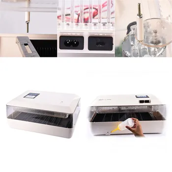 60 Eggs Automatic Turning Double Power Bank Egg Incubator Hatcher Machine for Chicken Duck Pigeons Quail Parrot Turtle Bird
60 Eggs Automatic Turning Double Power Bank Egg Incubator Hatcher Machine for Chicken Duck Pigeons Quail Parrot Turtle Bird