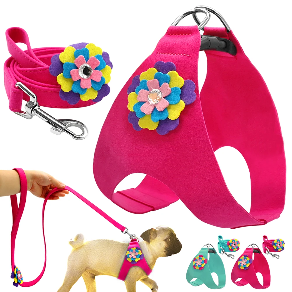 Soft Suede Leather Dog Puppy Cat Pet Harness Leash Lead Set For Small Medium Chihuahua Poodle Yorkie ShihTzu Blue Pink XS S M L
Soft Suede Leather Dog Puppy Cat Pet Harness Leash Lead Set For Small Medium Chihuahua Poodle Yorkie ShihTzu Blue Pink XS S M L