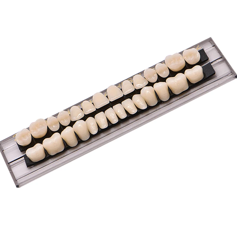 28 pcs/set Beautiful Endurance Ideal Composite Resin Teeth Size 23 Full Denture Material Student Practice Teaching Denture Care
28 pcs/set Beautiful Endurance Ideal Composite Resin Teeth Size 23 Full Denture Material Student Practice Teaching Denture Care