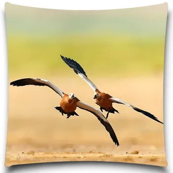 Birds chasing each other Cotton polyester Cushion Cover Bird Parrot Pillow case Home Decorative Car Sofa Throw Pillow Cover
Birds chasing each other Cotton polyester Cushion Cover Bird Parrot Pillow case Home Decorative Car Sofa Throw Pillow Cover