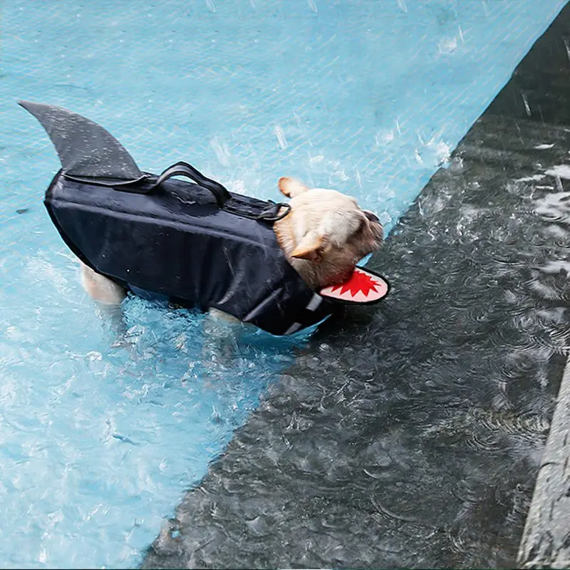 2019 Pet Swimsuit with D Ring for Leash, Funny Animal Shaped Dogs Reflective Life Jacket, Duck/Shark
2019 Pet Swimsuit with D Ring for Leash, Funny Animal Shaped Dogs Reflective Life Jacket, Duck/Shark