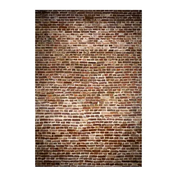 1.5X2.2M Thin Vinyl photography backdrop Customize Newborns Studio Backdrop Digital Printing Background Vintage Old Wall S-1110
1.5X2.2M Thin Vinyl photography backdrop Customize Newborns Studio Backdrop Digital Printing Background Vintage Old Wall S-1110
