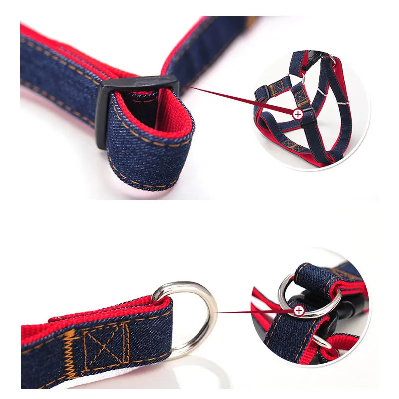 5 dog chain