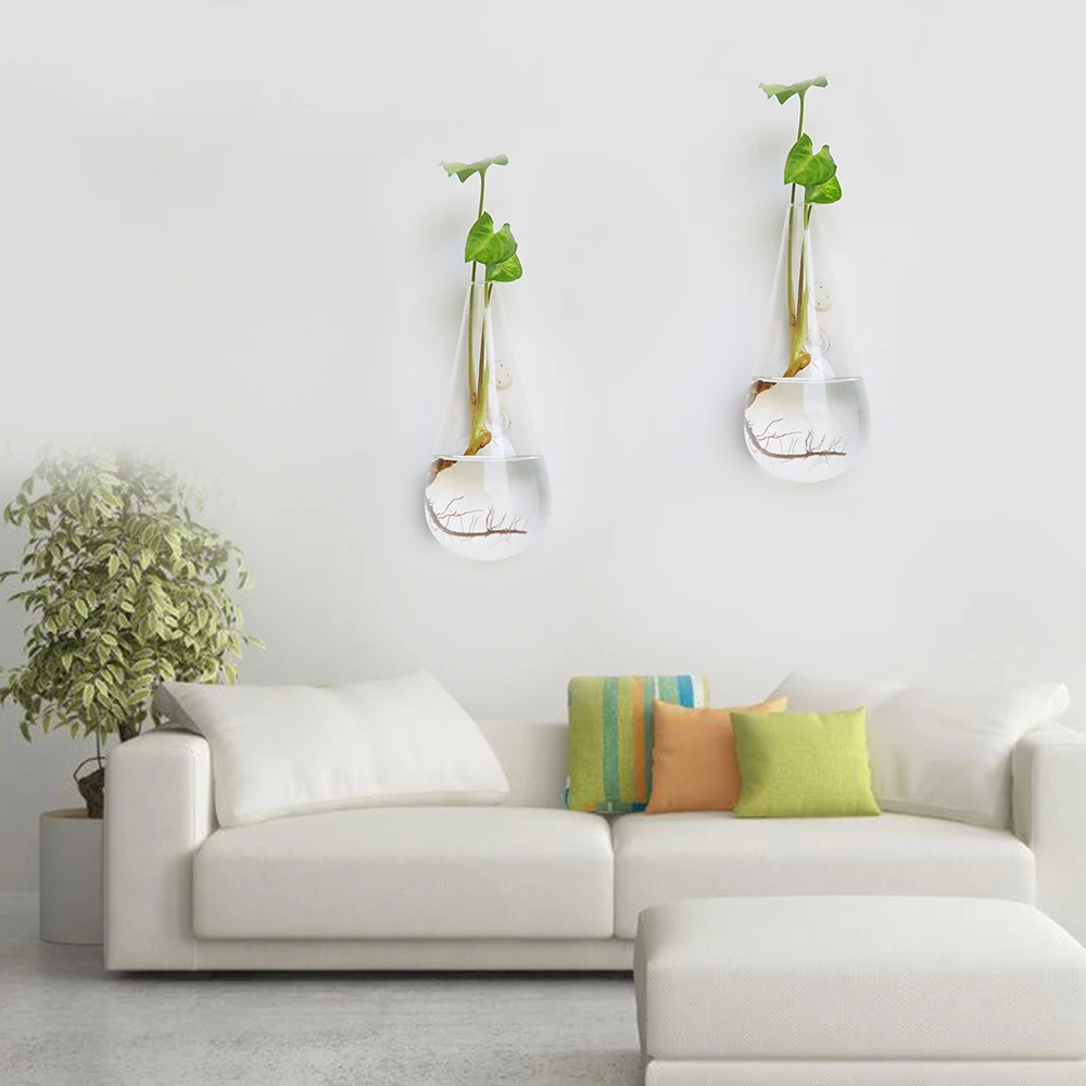 1PC Irregular Wall Hanging Glass Planter Air Plant Terrarium Flower Pots Vase Garden Transparent Hanging Hydroponic home decor
1PC Irregular Wall Hanging Glass Planter Air Plant Terrarium Flower Pots Vase Garden Transparent Hanging Hydroponic home decor