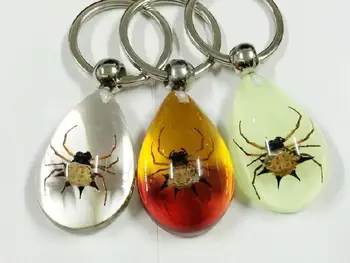 Free Shipping 21 PCS REAL SPINY SPIDER GLOW SECY COLOR KEYRING KEYCHAIN INSECT TAXIDERMY GIFT
Free Shipping 21 PCS REAL SPINY SPIDER GLOW SECY COLOR KEYRING KEYCHAIN INSECT TAXIDERMY GIFT