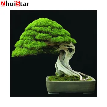 5D Diy Diamond Painting Cross Stitch Evergreen Tree Bonsai Diamond Mosaic Full Diamond Embroidery Rhinestone Gift Decoration XY1
5D Diy Diamond Painting Cross Stitch Evergreen Tree Bonsai Diamond Mosaic Full Diamond Embroidery Rhinestone Gift Decoration XY1