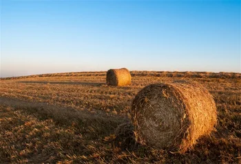 Laeacco Farm Field Hay Bale Photography Backgrounds Customized Photographic Backdrops For Photo Studio
Laeacco Farm Field Hay Bale Photography Backgrounds Customized Photographic Backdrops For Photo Studio