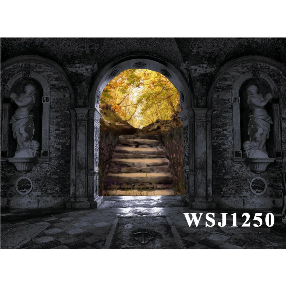 Polyester & Vinyl Halloween Ancient Underground Building Goddess Stone StatuesBackgrounds For Photo Studio Photography Backdrops
Polyester & Vinyl Halloween Ancient Underground Building Goddess Stone StatuesBackgrounds For Photo Studio Photography Backdrops