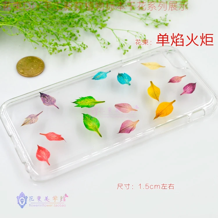 Torch flower diy handmade dried flowers 50pcs plant flowers solitary embossed glue natural bouquet branches dried flowers
Torch flower diy handmade dried flowers 50pcs plant flowers solitary embossed glue natural bouquet branches dried flowers