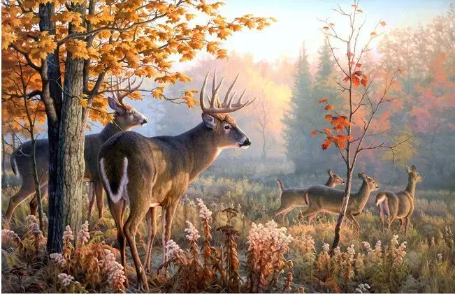 3d wallpaper custom mural sunlight deer in the forest background home decor living room photo wallpaper for walls 3 d
3d wallpaper custom mural sunlight deer in the forest background home decor living room photo wallpaper for walls 3 d