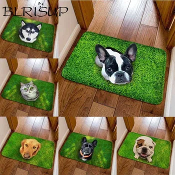 

BLRISUP Flannel Funny Entrance Door Carpet Animals Dog Cat Printing Floor Carpets for Living Room Bedroom Antiskid Kitchen Mats