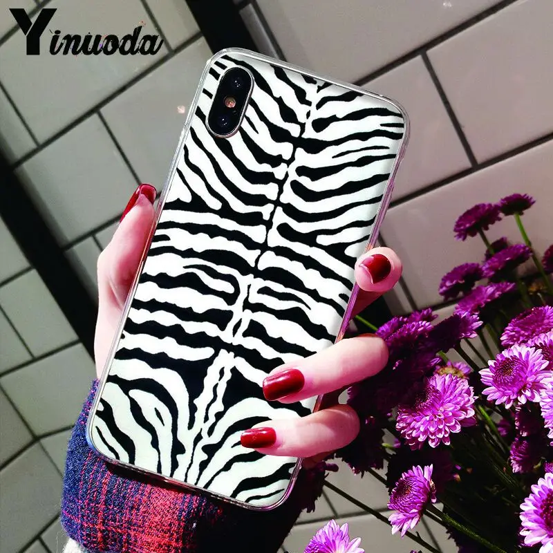 Animal Black white Zebra Stripe