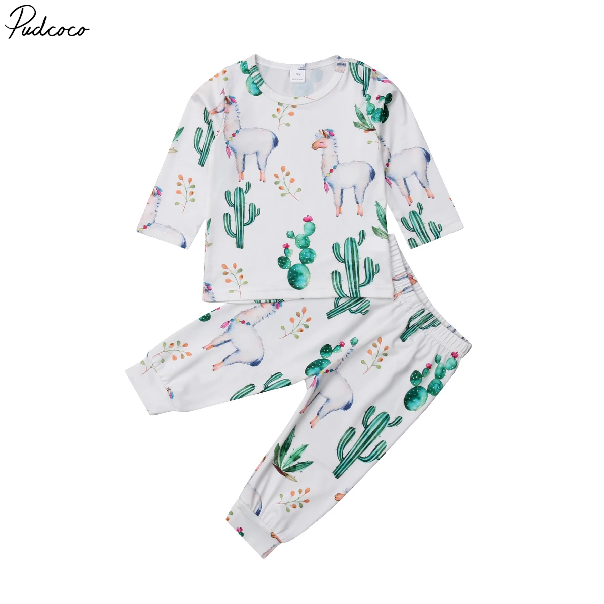 Toddler Baby Girl Boy Cactus Tops Floral Pants Leggings 2Pcs Outfits Clothes 0-24 Months
Toddler Baby Girl Boy Cactus Tops Floral Pants Leggings 2Pcs Outfits Clothes 0-24 Months