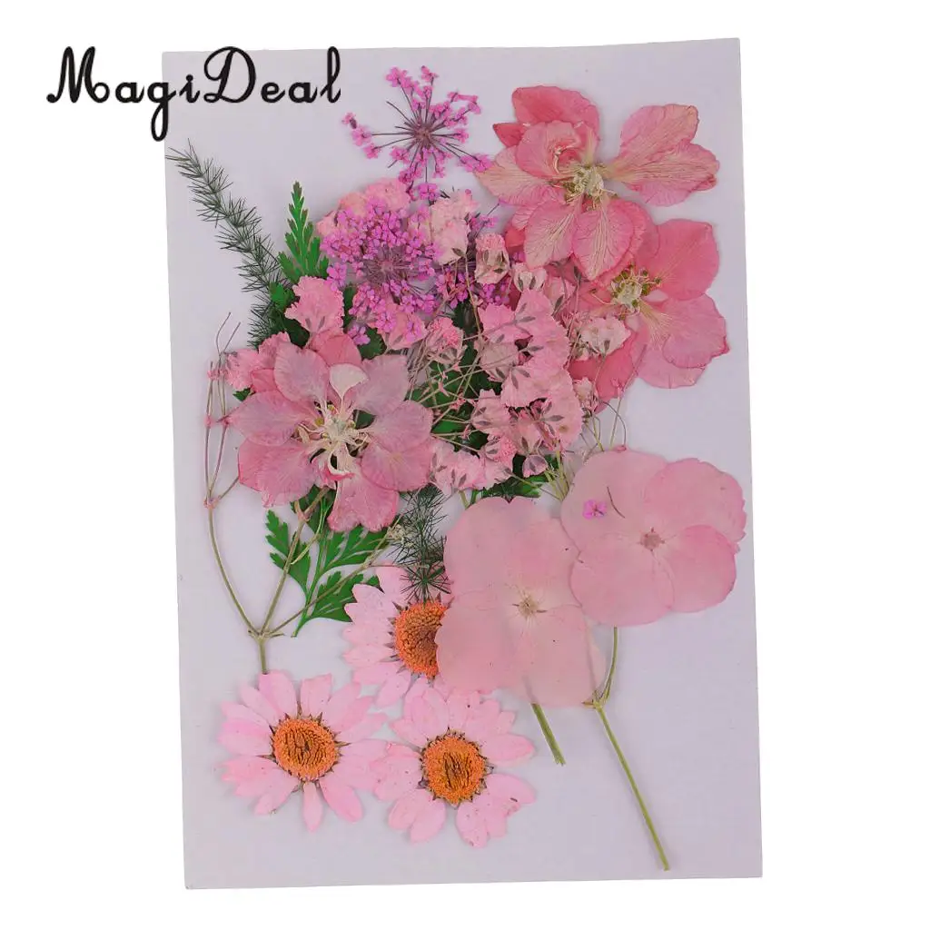 Multi Kinds of Pressed Leaves Real Dried Flower Plant Specimen Filler for Scrapbooking Card, Art Crafts, Epoxy Resin Jewelry DIY
Multi Kinds of Pressed Leaves Real Dried Flower Plant Specimen Filler for Scrapbooking Card, Art Crafts, Epoxy Resin Jewelry DIY
